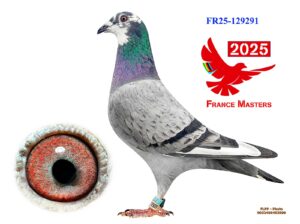 FR-25-129291