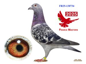 FR-25-138734