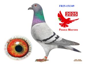 FR-25-151349