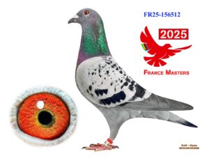 FR-25-156512