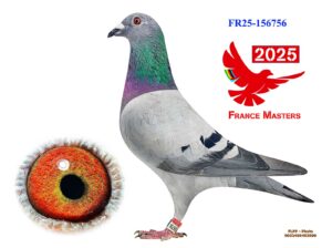 FR-25-156756