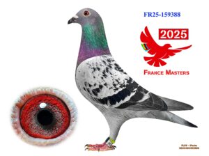 FR-25-159388