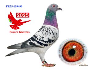FR-25-159490