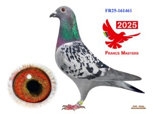 FR-25-161461