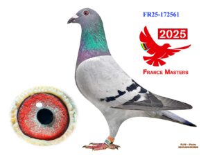 FR-25-172561