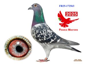 FR-25-172563