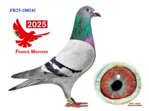 FR-25-180241