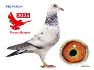 FR-25-180244
