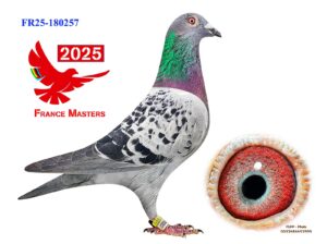 FR-25-180257