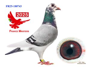 FR-25-180743