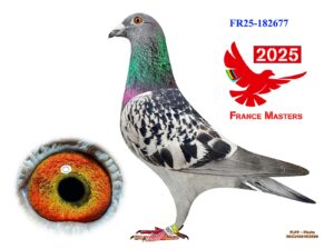 FR-25-182677