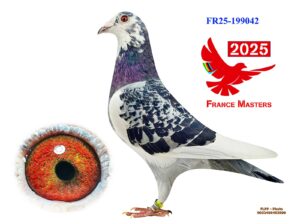 FR-25-199042
