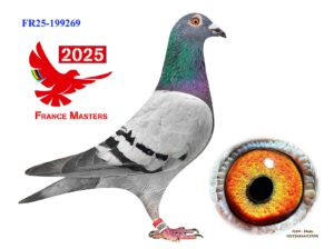 FR-25-199269