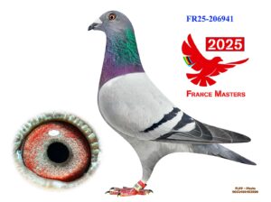 FR-25-206941