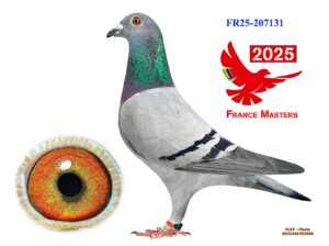 FR-25-207131