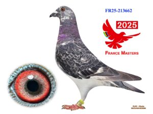 FR-25-213662