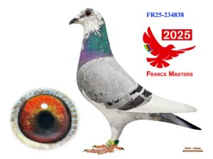 FR-25-234838