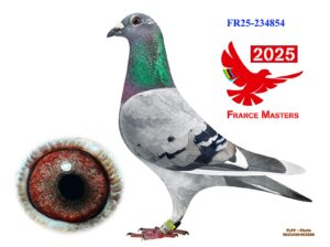 FR-25-234854