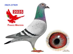 FR-25-237029
