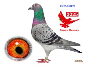 FR-25-239078
