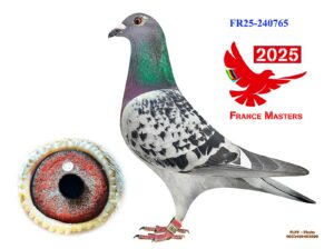 FR-25-240765
