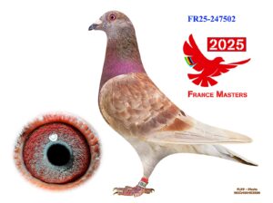 FR-25-247502