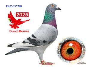 FR-25-247708
