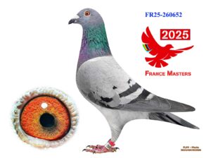FR-25-260652