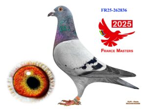 FR-25-262836
