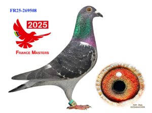 FR-25-269508