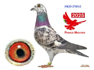 FR-25-278312