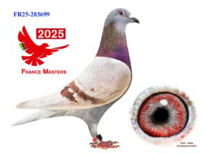 FR-25-283699