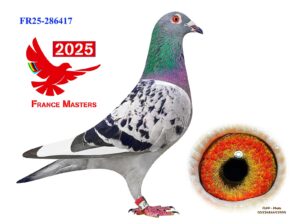 FR-25-286417