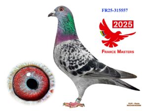 FR-25-315557