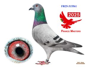 FR-25-315561