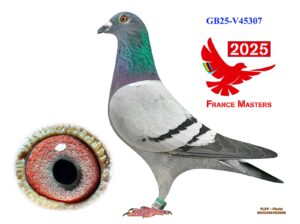 GB-25-V45307
