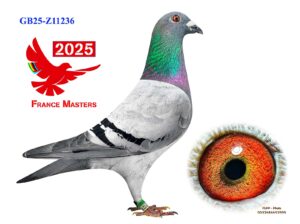 GB-25-Z11236