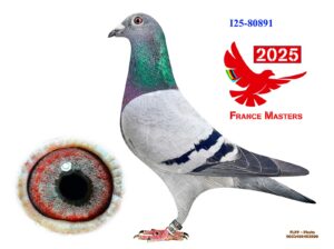 IT-25-80891