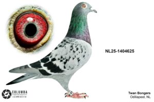NL-25-1404625