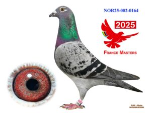 NOR-002-25-0164