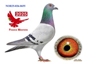 NOR-026-25-0655