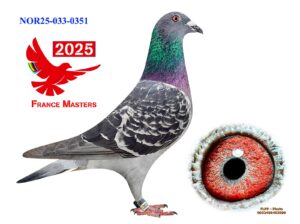 NOR-033-25-0351