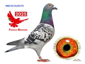 POR-25-5129179