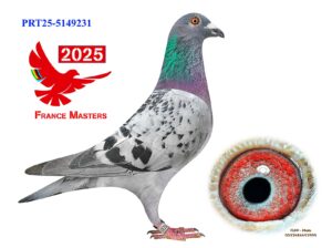 POR-25-5149231
