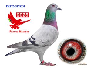 POR-25-5178331