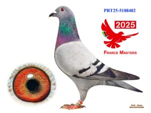 POR-25-5188402