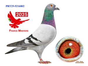 POR-25-5216002