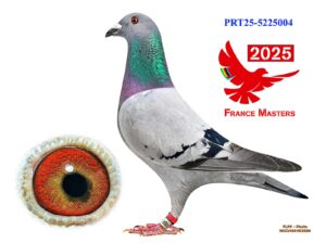 POR-25-5225004