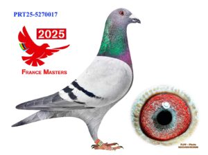 POR-25-5270017