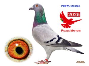 POR-25-5385201